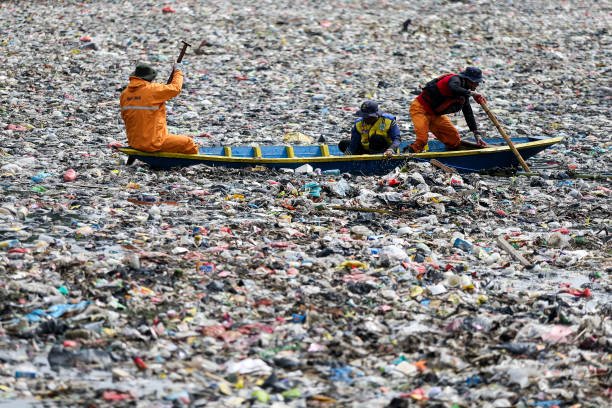 gettyimages-2195597298-612x612