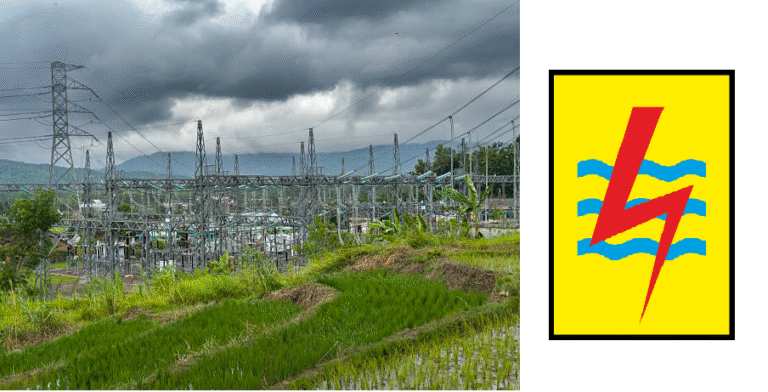 gettyimages-2253780869-612x612